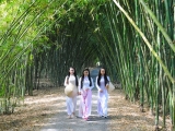 Bamboo Garden - Con đường tre vào top 7 “Ấn tượng Việt Nam 2022”