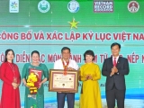 Sở VHTTDL tỉnh Hậu Giang xác lập thành công Kỷ lục Việt Nam  "Sự kiện chế biến, công diễn các món bánh làm từ gạo, nếp  nhiều nhất Việt Nam (200 món)"